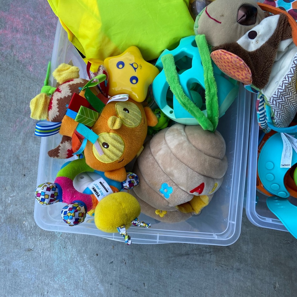 LOT infant toys - Skip Hop, Melissa & Doug - Picture 2 of 2